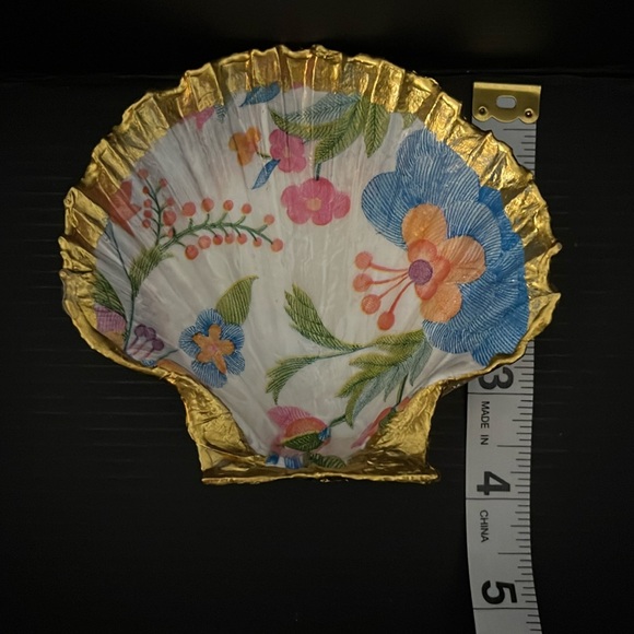 🐚Seashell 🐚 - Picture 6 of 6